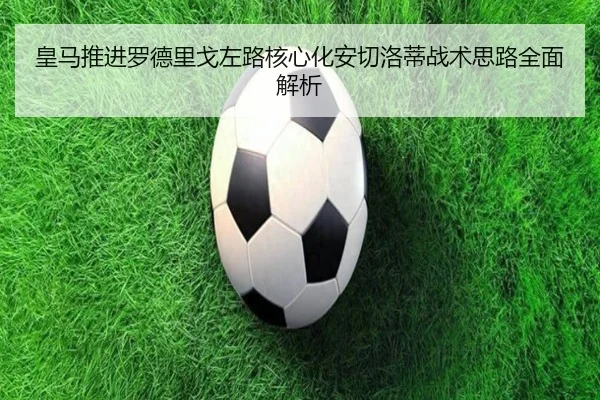 img_1780364257148_3587_1_448.jpg